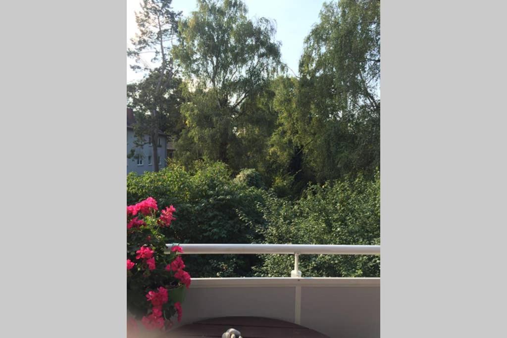 Bahnhofsnahe, Ruhige Und Sonnige 2 Zimmerwohnung Im Dichterviertel Apartment Wiesbaden